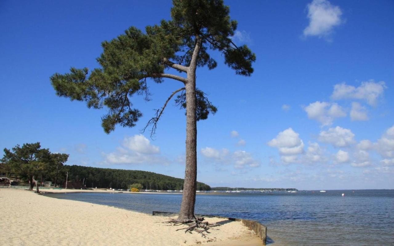 Maison Piscine 4 Ch Carcans Medoc Bassin Arcachon Buitenkant foto