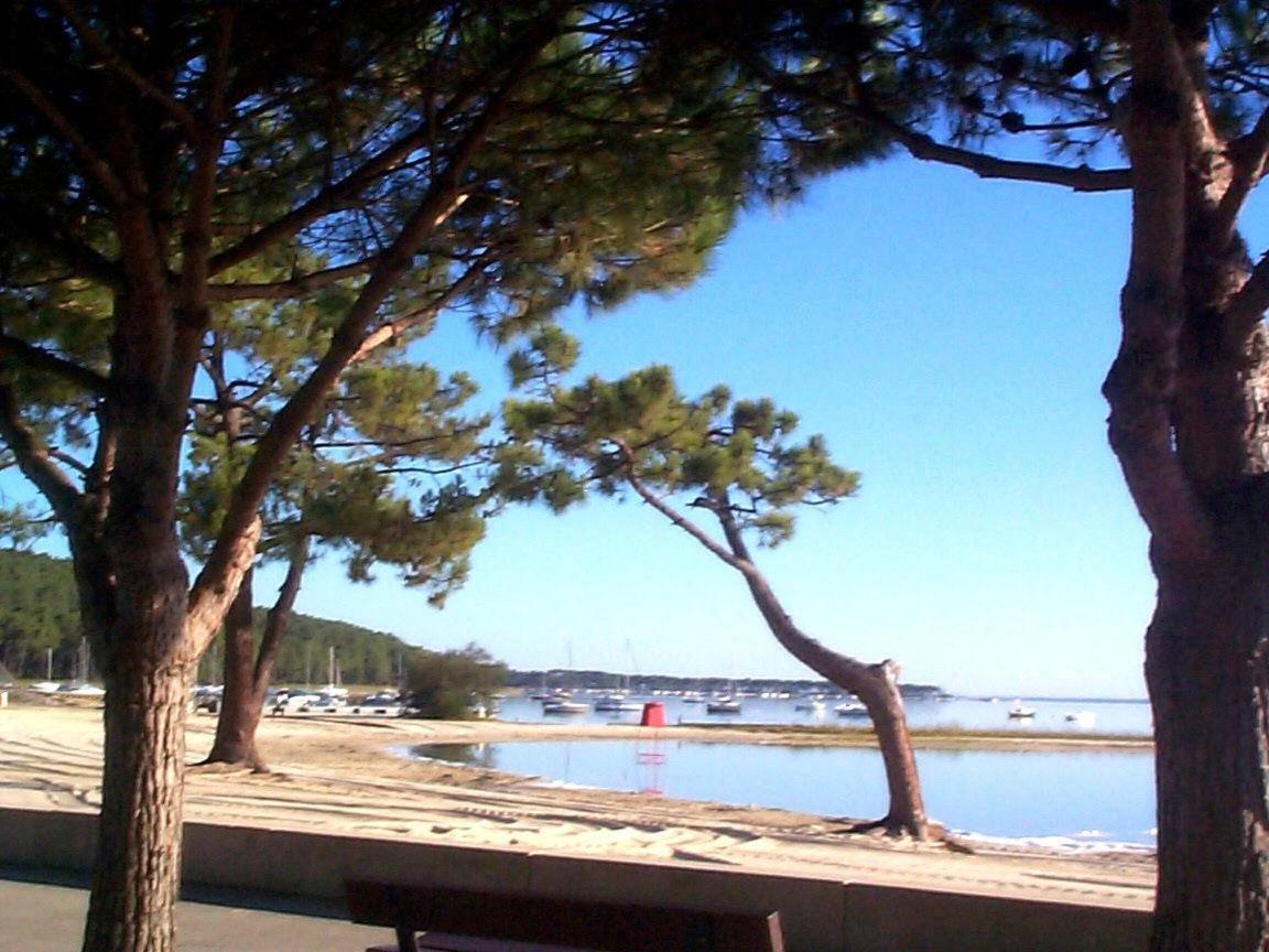 Maison Piscine 4 Ch Carcans Medoc Bassin Arcachon Buitenkant foto