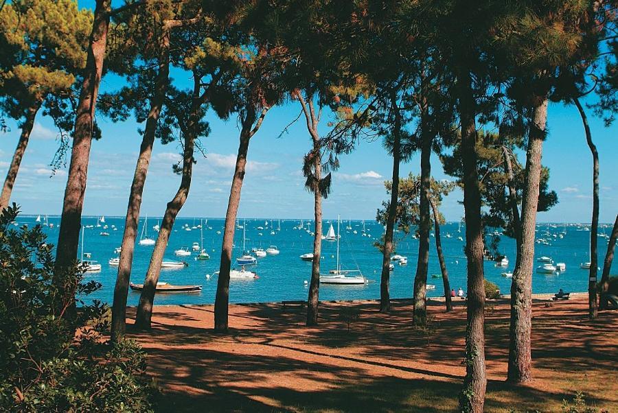 Maison Piscine 4 Ch Carcans Medoc Bassin Arcachon Buitenkant foto